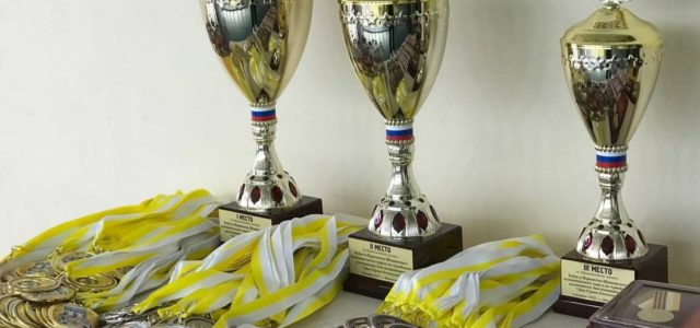 Дню Героев Отечества посвятили соревнования в Михайловске по Армейскому рукопашному бою